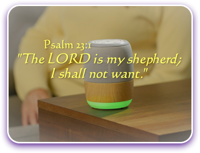 The LORD is my shepard; I shall not want. Psalm 23:1